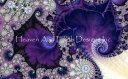 Heaven And Earth Designs クロスステッチ図案 チャート 【アメジスト・フラクタル】 Amethyst Fractal
