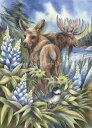 Jody Bergsma クロスステッチ 図案 刺しゅう チャート 【 Easily A Mossed 】 Heaven And Earth Designs 輸...