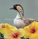 Dean Darling クロスステッチ刺しゅうチャート HAED 図案 【 Hawaii 】 Heaven And Earth Designs 難しい 上級者...