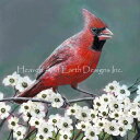 Dean Darling クロスステッチ 刺しゅう チャート HAED 図案 【 North Carolina 】 Heaven And Earth Desig...