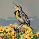 Dean Darling クロスステッチ 刺しゅう チャート HAED 図案 【 Kansas 】 Heaven And Earth Designs 難しい 上...