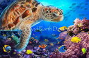 Jim Todd クロスステッチ 図案 刺しゅう チャート 【 Sea Turtle JT 】 Heaven And Earth Designs 輸入 上級者 ...