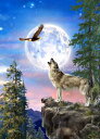 Dona Gelsinger クロスステッチ 図案 刺しゅう チャート 【 Moon Wolf 】 Heaven And Earth Designs 輸入 上級...