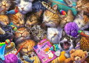 Jeff Haynie クロスステッチ 図案 刺しゅう チャート 【 Cat Nap JH / Cat Nap Max Colors 】 Heaven And ...