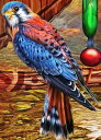 Ciro Marchetti クロスステッチ 図案 刺しゅう チャート 【 QS Animal Totem Kestrel 】 Heaven And Earth...