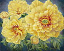 Marianne Broome クロスステッチ刺しゅうチャート HAED 図案 【 Yellow Peonies 】 Heaven And Earth Desi...