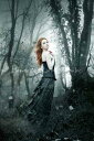 Alexandra V. Bach クロスステッチ 図案 刺しゅう チャート 【 Mini Dark Path 】 Heaven And Earth Desig...