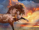 Laurie Prindle クロスステッチ 刺しゅう チャート HAED 図案 【 Fierce Beauty 】 Heaven And Earth Desi...