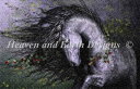 Laurie Prindle クロスステッチ 図案 刺しゅう チャート 【 Mini Wild Rose LP 】 Heaven And Earth Desig...