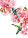 Dona Gelsinger クロスステッチ 図案 刺しゅう チャート 【 Mini Hummingbirds in Spring NO BK Max Colors 】 Heaven And Earth Designs 輸入 上級者 ハチドリ ハミングバード 桃 桜 春 花