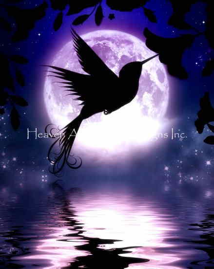 Heaven And Earth Designs クロスステッチ図案 チャート【月明かりのハミングバード】 Moon Lit Hummingbird