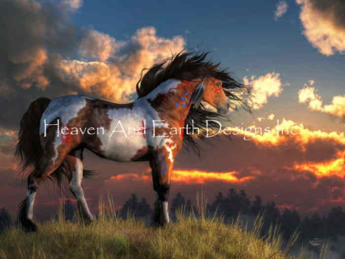 Heaven And Earth Designs クロスステッチ図案 HAED チャート 【War Horse】 Daniel Eskridge