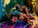 Aimee Stewart クロスステッチ刺しゅうチャート HAED 図案 【Nova】 Heaven And Earth Designs