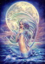 Selina Fenech クロスステッチ刺しゅうチャート HAED 図案 【Mermaid Moon SF】 Heaven And Earth Designs