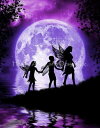 Julie Fain クロスステッチ刺しゅうチャート HAED 図案 【Moonlit Path】 Heaven And Earth Designs 難しい 輸...