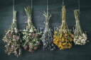 Solo Collection クロスステッチ刺しゅうチャート HAED 図案 【Hanging Bunches Of Medicinal Herb】 Heaven And Earth Designs 難しい 輸入 上級者様向け