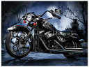 Jim Todd クロスステッチ刺しゅうチャート HAED 図案 【Skeleton Ride】 Heaven And Earth Designs 難しい 輸入...