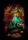Aimee Stewart クロスステッチ刺しゅうチャート HAED 図案 【Mini The Queen AS】 Heaven And Earth Desig...