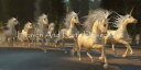 Solo Collection クロスステッチ刺しゅうチャート HAED 図案 【 Supersized Magical Unicorn Forest Max ...