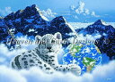 Heaven And Earth Designs(HAED) クロスステッチ刺繍 図案 輸入 ホワイトタイガー Bed of Clouds 全面刺し 上級者