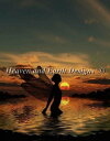 Heaven And Earth Designs(HAED) クロスステッチ刺繍 図案 輸入 妖精と夕陽 Fairy at Sunset 全面刺し 上級者