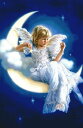 ししゅうクロスステッチ図案 HAED ムーンビーム Heaven And Earth Designs 輸入 Sandra Kuck 上級者 Mini Moonb...