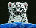 HAED 図案 クロスステッチ刺繍 輸入 Heaven And Earth Designs ユキヒョウの世界 Snow Leopards World 全面刺し ...