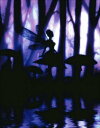 クロスステッチ図案 刺しゅう HAED 手芸 上級者 【秘密の領域】 Mini Hidden Realm