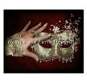 HAED クロスステッチ刺繍 図案 Heaven And Earth Designs 輸入 仮面 Christine AS 全面刺し 上級者