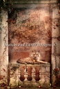 Aimee Stewart クロスステッチ刺しゅうチャート HAED 図案 【Mini Tigra De La Rosa】 Heaven And Earth D...