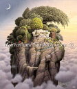 Heaven And Earth Designs クロスステッチ刺繍 図案 HAED 輸入 Jacek Yerka 部屋 Room On The Loft 全面...
