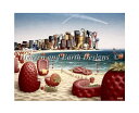 Heaven And Earth Designs クロスステッチ刺繍 図案 HAED 輸入 Jacek Yerka 苺のビーチ Strawberry Beach...
