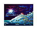 クロスステッチ刺繍 図案 HAED Heaven And Earth Designs 輸入 Andy Russell サイレント・ナイト Silent Nigh...