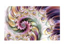 クロスステッチししゅうチャート Heaven And Earth Designs 輸入 Elizabeth Welker 全面刺し Mini Multi Fra...