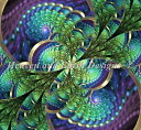 クロスステッチ刺繍 図案 Heaven And Earth Designs 輸入 HAED 全面刺し 上級者 孔雀 Peacock
