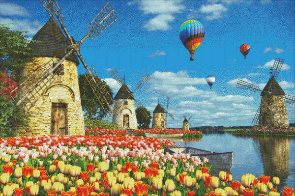 Dominic Davison ƥåɤ夦㡼 HAED ް Supersized Tulips of Amsterdam Max Colors Heaven And Earth Designs 񤷤 ͢ ͸