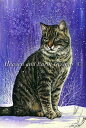 クロスステッチ刺繍 図案 Heaven And Earth Designs HAED 輸入 上級者 Irina Garmashova 冬の猫 Winter Ta...