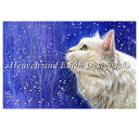 クロスステッチ刺繍 図案 Heaven And Earth Designs HAED 輸入 上級者 Irina Garmashova 初雪と猫 First Sn...