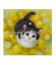 Heaven And Earth Designs クロスステッチ図案 チャート 【Dandelion Max Colors】 HARAI KAYOMI