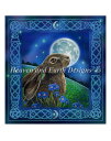 Heaven And Earth Designs クロスステッチ刺繍図案 輸入 HAED 上級者 Lisa Parker 月を見つめる兎 Moon Gazing Hare 全面刺し