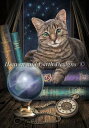 クロスステッチ図案 チャート HAED 手芸 上級者 【占い師】 Mini The Fortune Teller