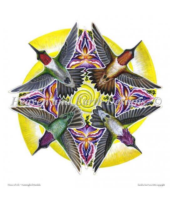 Heaven And Earth Designs クロスステッチ刺繍図案 輸入 HAED 上級者 Sandra SanTara ハチドリの曼荼羅 Hummingbird Mandala