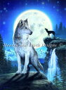 Heaven And Earth Designs クロスステッチ刺繍図案 輸入 HAED 上級者 David Penfound 青い月 Blue Moon Pe...