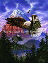 Heaven And Earth Designs クロスステッチ刺繍図案 輸入 HAED 上級者 David Penfound 鷲と山岳 Mini Eagle ...