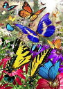 Heaven And Earth Designs クロスステッチ刺繍図案 輸入 HAED 上級者 David Penfound 南国の蝶 Tropical Butterfly 全面刺し