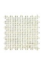 Sajou クロスステッチ刺繍布 5.5pts Aida Toile Aida 5,5 pts/cm Coupon 50 x 80 cm Coton - Chi...