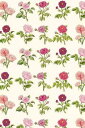 Maison Sajou vgn 45x65cm ͂ yCOUPON TISSU PUR COTON LES ROSES DE JOS&#201;PHINEz Jbgς tX T_SAJ_C_050_075_PER_23A y\z