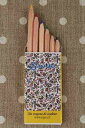 SAJOU 色鉛筆 【SIX CRAYONS DE COULEURS COQUECIGRUES】 文房具 入園 入学 PAPE_CRAYON_X_06_01 【予約】(3)