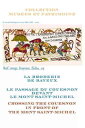 Maison Sajou クロスステッチ 刺しゅう チャート 図案 【 Grille point de croix Tapisserie Bayeux Le C...