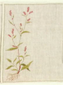 【DM便対応】フレメ Fersken pilurt アカアシシギ 12B クロスステッチ Haandarbejdets Fremme キット デンマーク 北欧 刺しゅう ギルド 14-4515,06